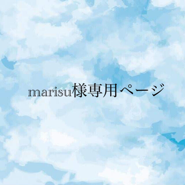 marisu様専用ページ その他のその他(オーダーメイド)の商品写真