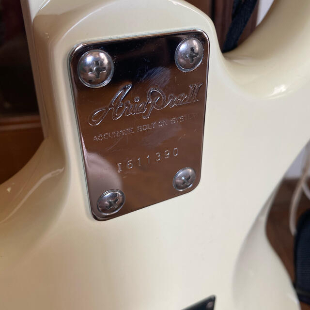 AriaCompany(アリアカンパニー)のAria Pro Ⅱ RS WILD CAT 楽器のギター(エレキギター)の商品写真