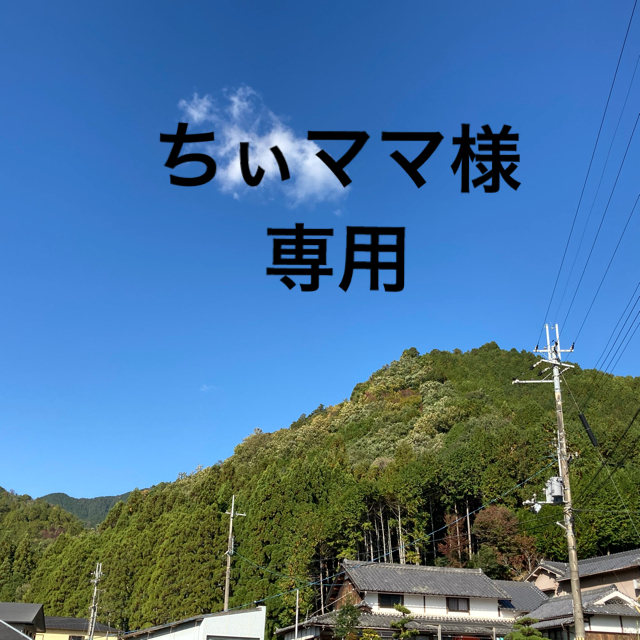 再入荷　アーユルヴェーダ【サマハン　100袋】ハーブティー　スパイスティー 食品/飲料/酒の飲料(茶)の商品写真