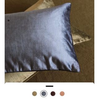 ザラホーム(ZARA HOME)の【クッション＆カバーセット】ZARAHOME ザラホーム ベルベット地クッション(クッション)