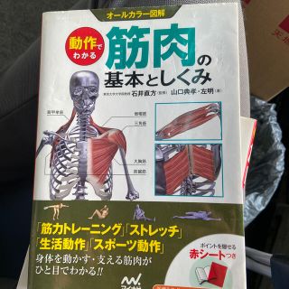 動作でわかる筋肉の基本としくみ オ－ルカラ－図解(趣味/スポーツ/実用)