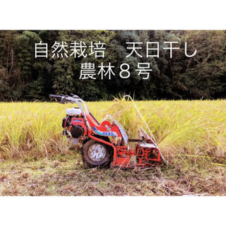 かる様専用　自然栽培天日干し農林8号玄米10キロ(米/穀物)