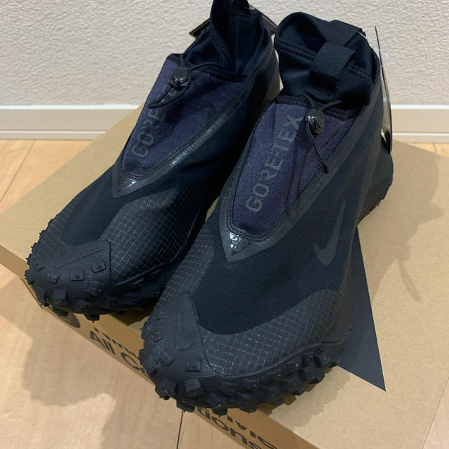 ACG GORE-TEX "Mountain Fly"