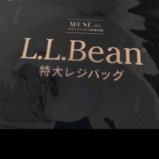 エルエルビーン(L.L.Bean)のL L BEAN 特大レジバッグ　(エコバッグ)