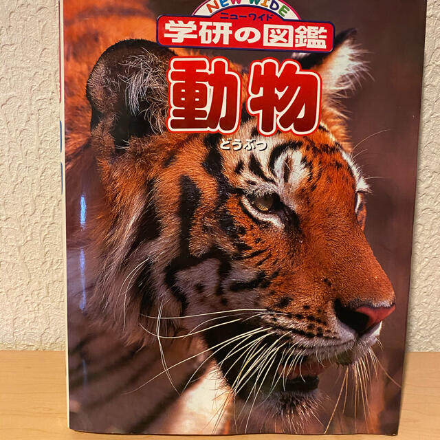 動物図鑑 エンタメ/ホビーの本(絵本/児童書)の商品写真