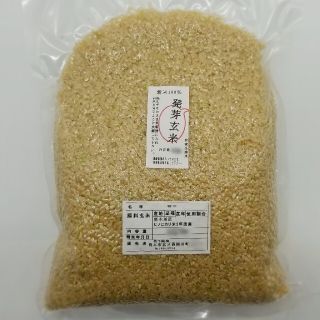 熊本県産　新米100%　発芽玄米　6kg 自家製産　ヒノヒカリ(米/穀物)