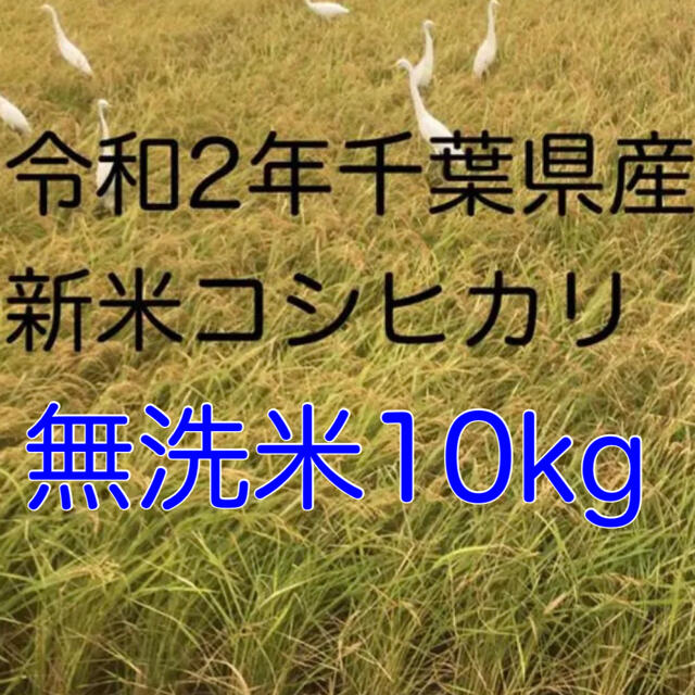 令和2年新米コシヒカリ無洗米10kg 食品/飲料/酒の食品(米/穀物)の商品写真
