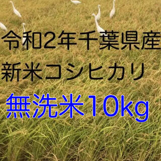令和2年新米コシヒカリ無洗米10kg(米/穀物)