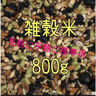 気軽に手軽に様専用　雑穀米　400ｇ×5(米/穀物)