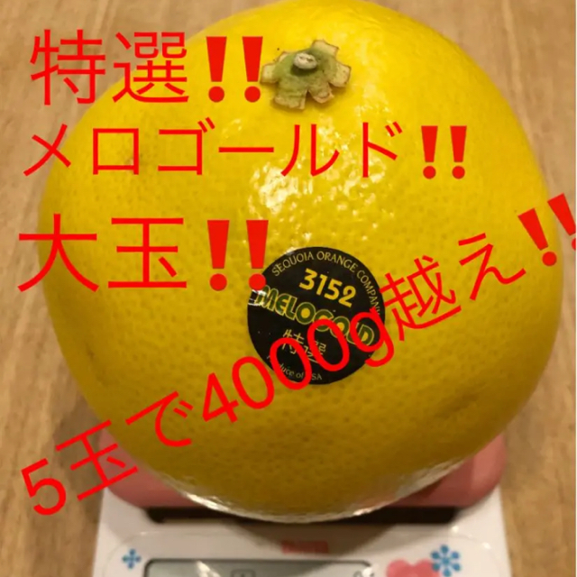 特選メロゴールド　大玉　5玉 4000g越え 食品/飲料/酒の食品(フルーツ)の商品写真