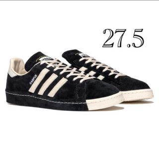 adidas campus 44