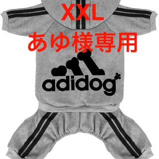 あゆ様専用　アディドッグ　グレーXXLサイズ(犬)