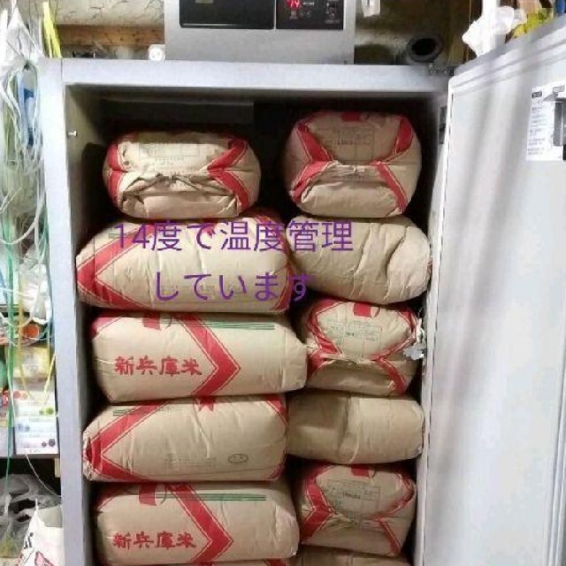 減農薬栽培　兵庫県産キヌヒカリ　10kg 食品/飲料/酒の食品(米/穀物)の商品写真