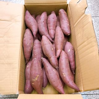 ☆高糖度サツマイモ☆ 大分県産 甘太くん　Mサイズ　2キロ(野菜)