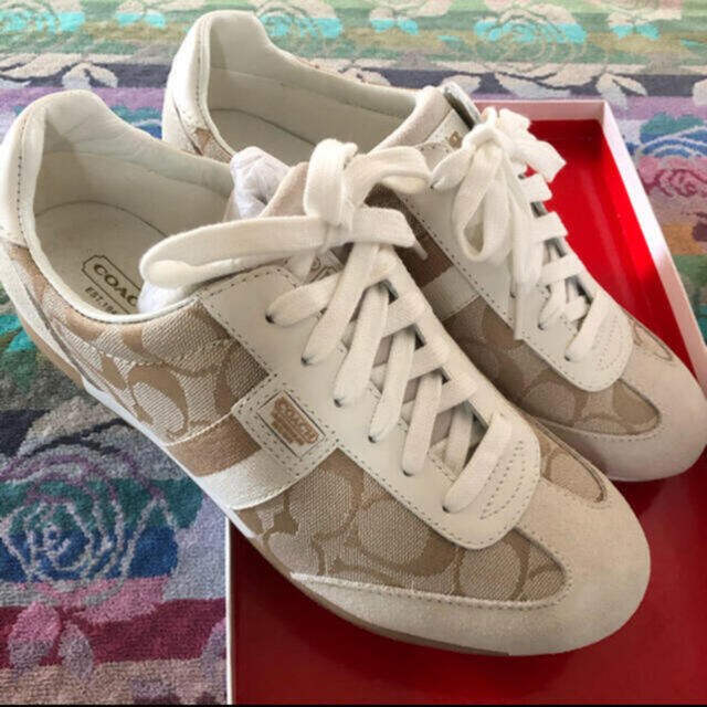 COACH インヒールスニーカー | ns2.psht.or.id