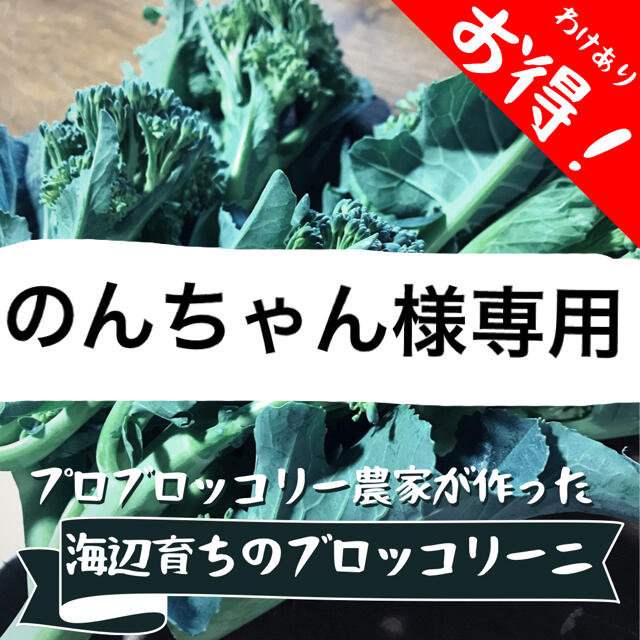 海辺育ちのブロッコリーニ　1kg 食品/飲料/酒の食品(野菜)の商品写真