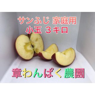 激安セール！　サンふじ　家庭用　小玉　３キロ　長野県産　減農薬　化学肥料不使用(フルーツ)