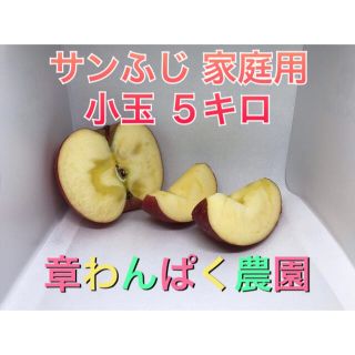 激安セール♪  サンふじ　家庭用　小玉　５キロ　長野県産　減農薬　化学肥料不使用(フルーツ)