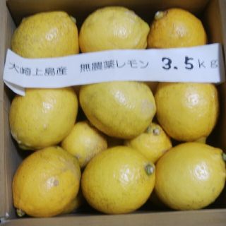 広島県大崎上島無農薬レモン　3.5kg(フルーツ)