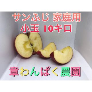 激安セール♪ サンふじ　家庭用　小玉　10キロ　長野県産　減農薬(フルーツ)