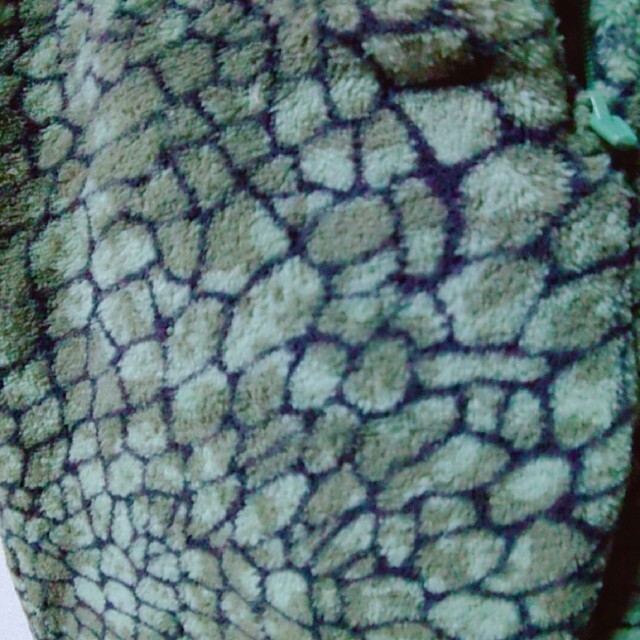 H&M(エイチアンドエム)の恐竜の着ぐるみ エンタメ/ホビーのコスプレ(衣装)の商品写真