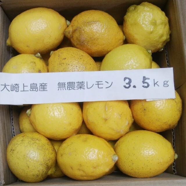 広島県大崎上島無農薬レモン　3.5kg 食品/飲料/酒の食品(フルーツ)の商品写真