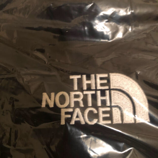 THE NORTH FACE(ザノースフェイス)のザノースフェイスT-BALL TECH EXPLORING EX JKT メンズのジャケット/アウター(ダウンジャケット)の商品写真
