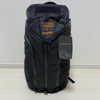 ミステリーランチ(MYSTERY RANCH)のMYSTERY RANCHミステリーランチ　Carryology Assault(バッグパック/リュック)