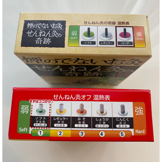 。セ専用