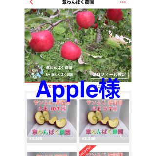 Apple様専用　サンふじ　家庭用小玉　10キロ　章わんぱく農園(フルーツ)