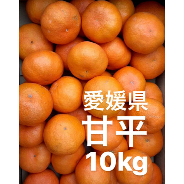 ○愛媛県 甘平 10kg ○愛媛県 甘平 10kg