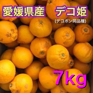 012303 愛媛県産 訳あり デコ姫 7kg デコポン 同品種(フルーツ)