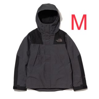 ザノースフェイス(THE NORTH FACE)の【web限定】ノースフェイス マウンテンジャケット【M】NP12032R グレー(マウンテンパーカー)