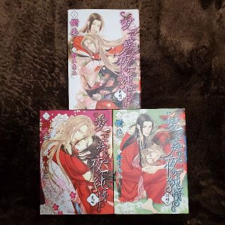 愛で痴れる夜の純情(ボーイズラブ(BL))