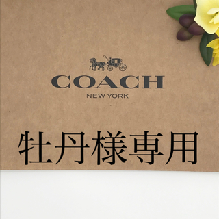 コーチ(COACH)のCOACH 財布　★大人気★　レオパード　ヒョウ柄　新品(財布)