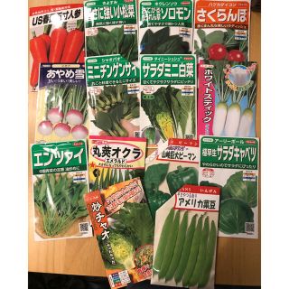 野菜の種 5種類セット (野菜)