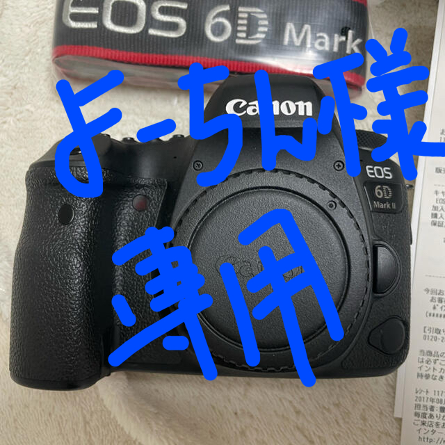 よーちんさま専用　Canon 一眼レフ　EOS 6D Mark II ボディー