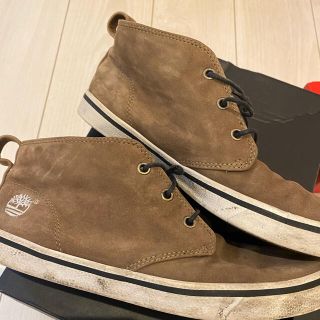 ティンバーランド(Timberland)のメンズ靴(スニーカー)