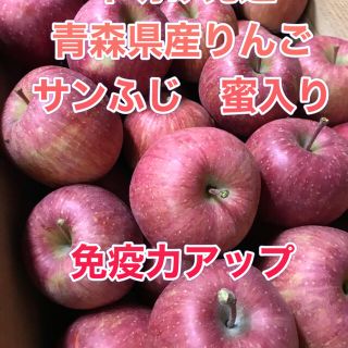 青森県産りんご　サンふじ　家庭用(フルーツ)