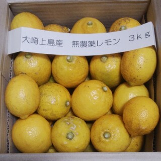 広島県大崎上島無農薬レモン　3kg(フルーツ)
