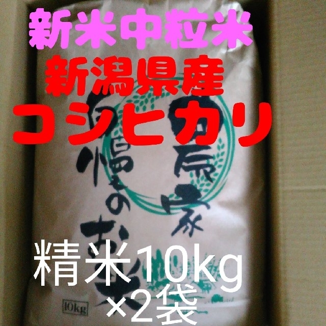 食品/飲料/酒【即購入OK】新潟県長岡コシヒカリ農家の令和2年産中粒米10キロ精米×2袋同梱