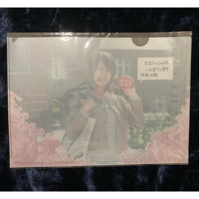 南沢奈央　クリアファイル エンタメ/ホビーのタレントグッズ(女性タレント)の商品写真