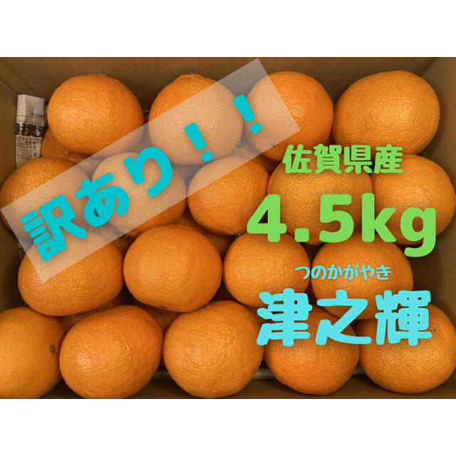 【訳あり】みかん　つのかがやき　4.5kg　佐賀県　唐津産　ミカン　家庭用 食品/飲料/酒の食品(フルーツ)の商品写真