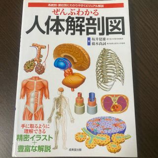 ぜんぶわかる人体解剖図 系統別・部位別にわかりやすくビジュアル解説(健康/医学)