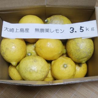 広島県大崎上島無農薬レモン　3.5kg(フルーツ)