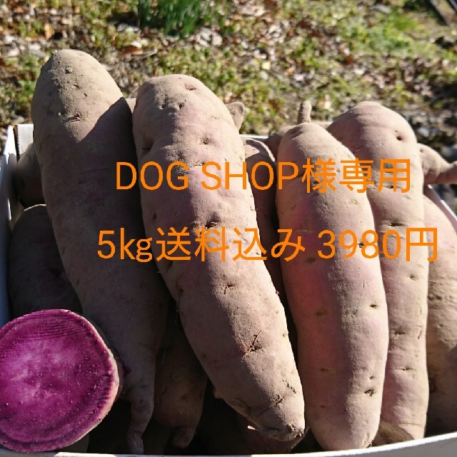 DOG SHOP様専用 パープルスイートロード5㎏送料込み 食品/飲料/酒の食品(野菜)の商品写真
