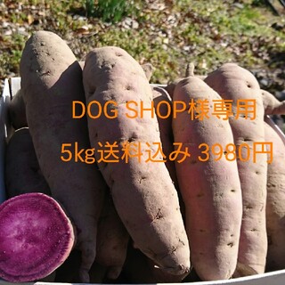 DOG SHOP様専用 パープルスイートロード5㎏送料込み(野菜)
