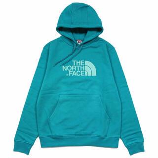 ザノースフェイス(THE NORTH FACE)のthe north face パーカー グリーン(パーカー)