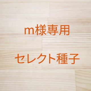 m様専用 セレクト種子 6袋(野菜)