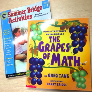 英語　算数　絵本　「THE GRAPES OF MATH 」英語で数学的思考問題(洋書)